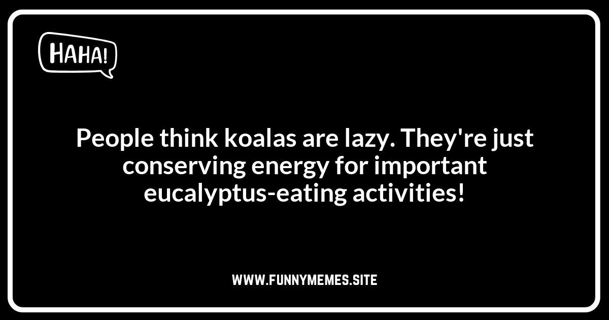 Koala Jokes: Funny Misconceptions and Stereotypes