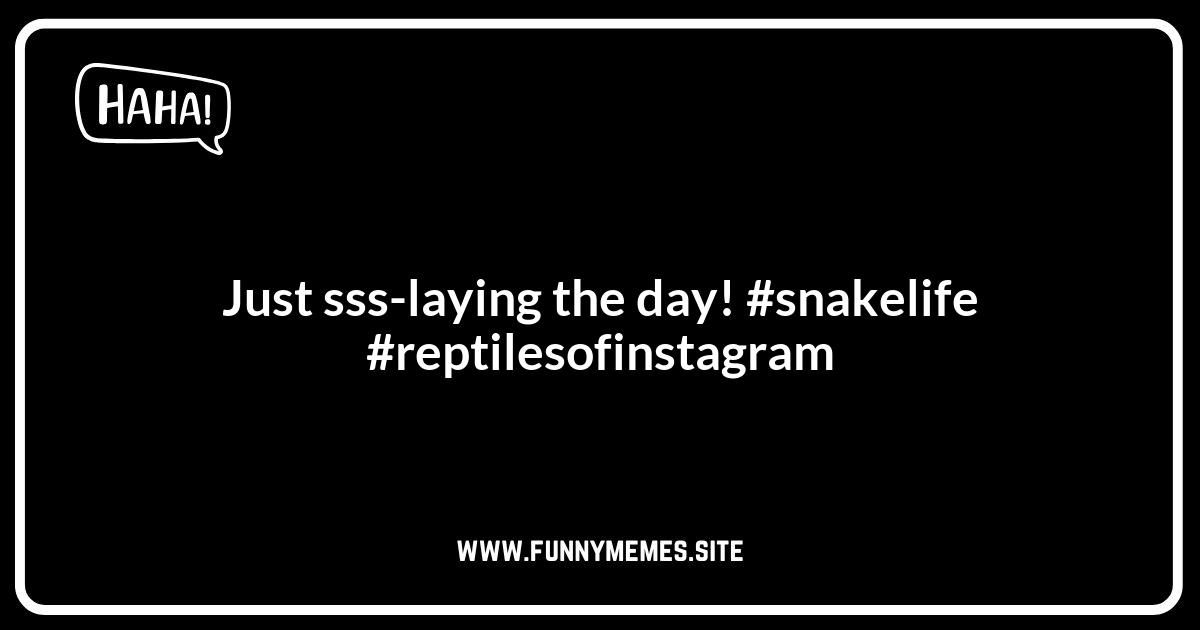 Best Snake Jokes for Instagram: Caption Your Reptilian Pics!