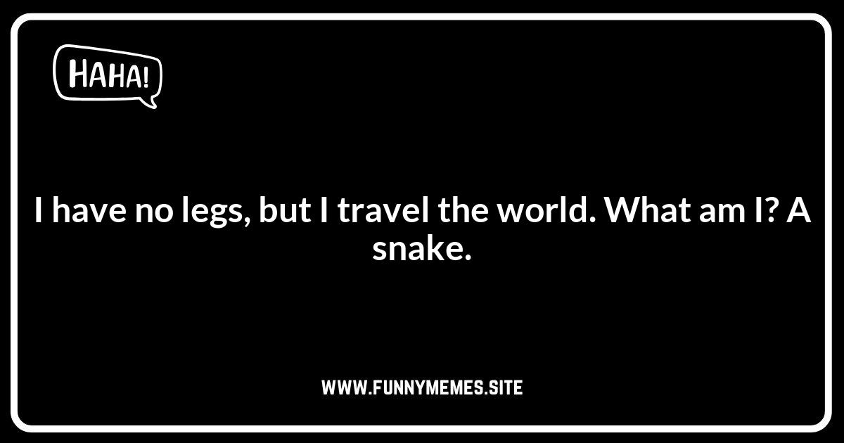 Snake Jokes: Riddles and Brain Teasers to Test Your Wits