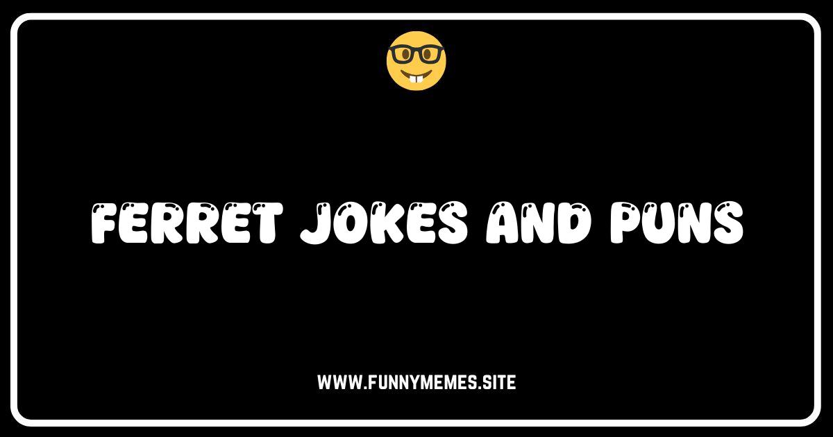 Fur Real? The Best Ferret Jokes and Puns You'll Ever See!