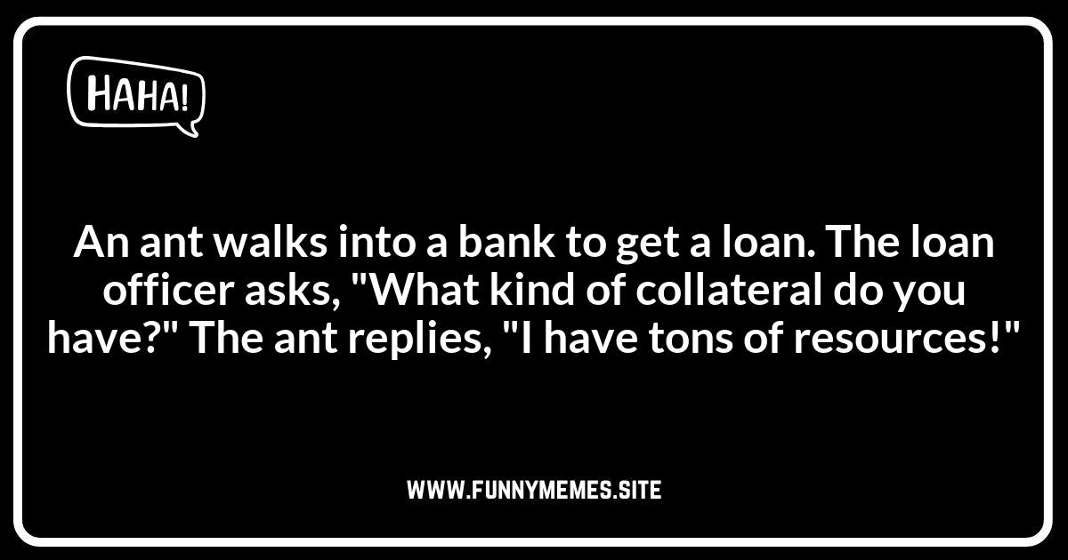 Ant-ics: Funny Stories Involving Ants