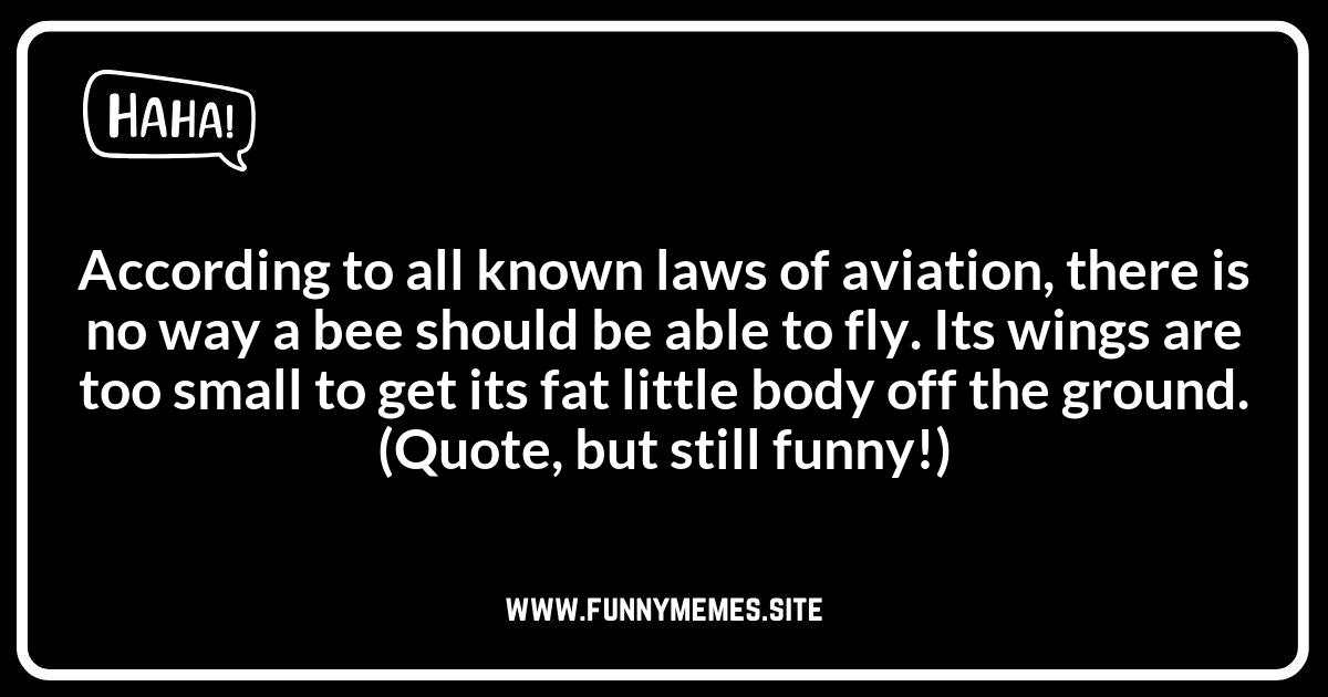 Bee Movie Jokes: Reliving the Animated Classic