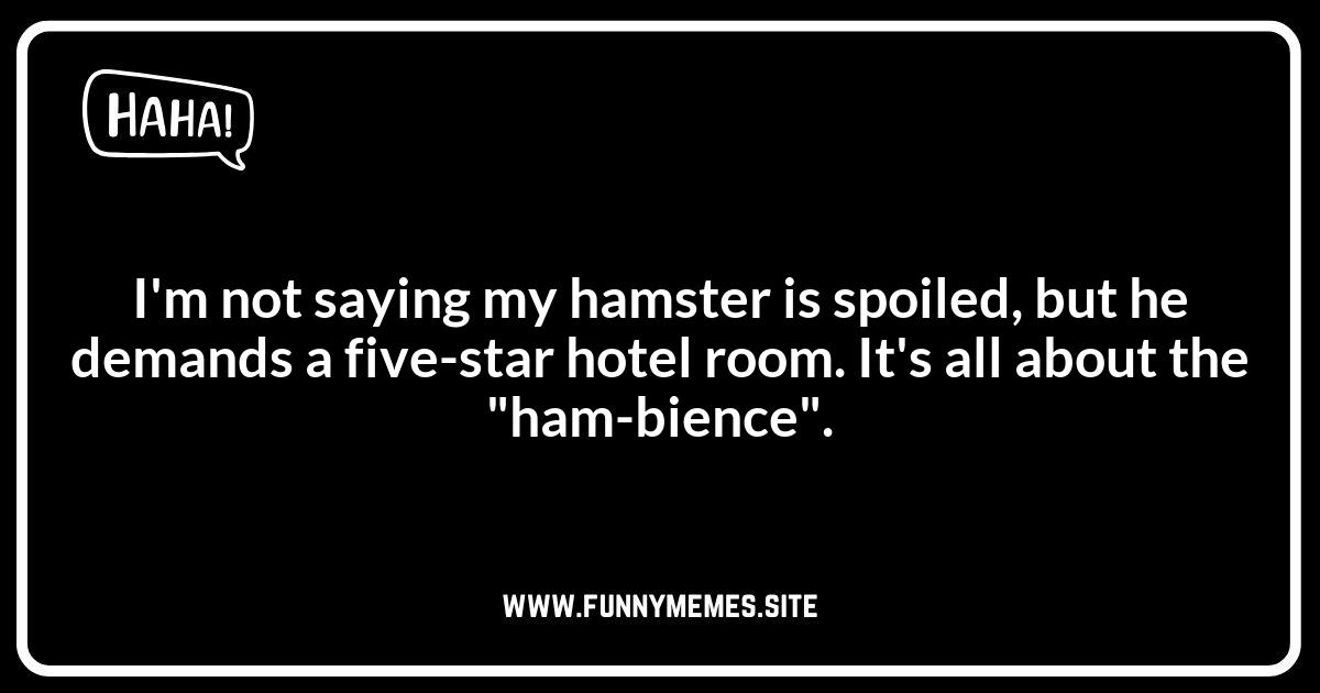 Puns for Hamster Lovers: Wordplay That's Wheelie Funny