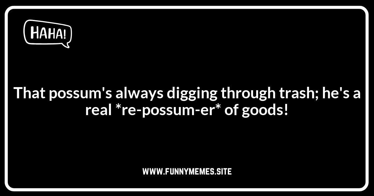 Possum Puns: Exploring Their Unique Behavior