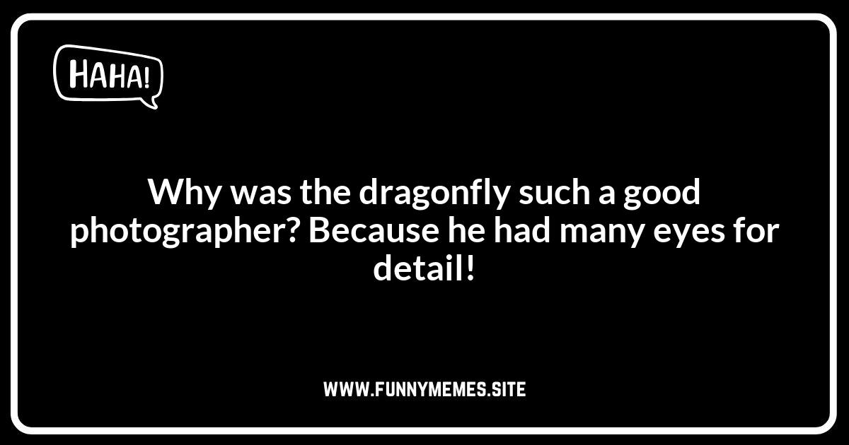 Dragonfly Puns About Their Appearance