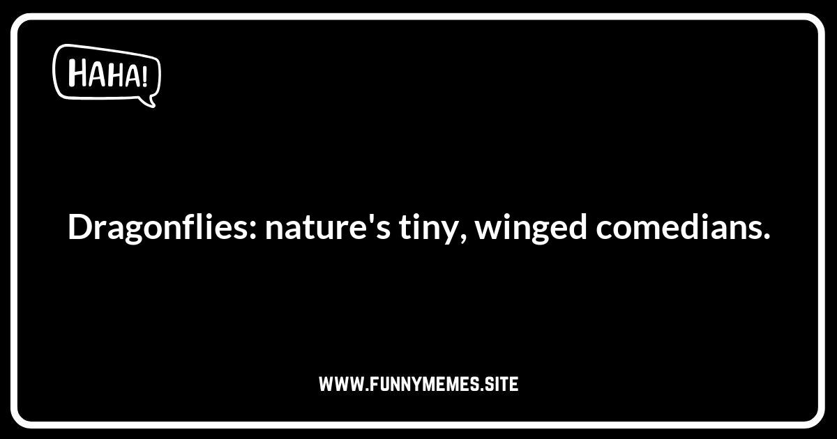 Silly Dragonfly One-Liners