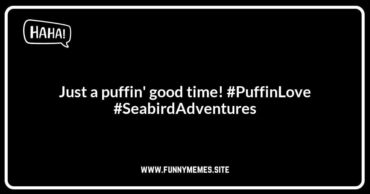 Puffin Puns for Instagram Captions