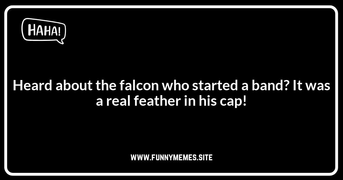 Funny Falcon Jokes to Share with Friends