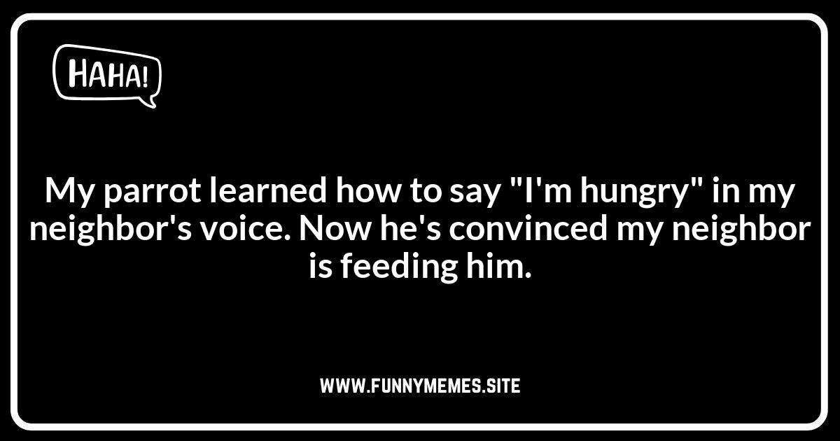Parrot Jokes: Hilarious Mimicry Moments