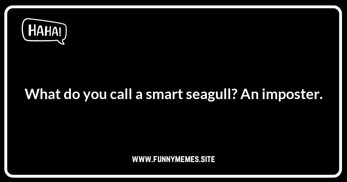Seagull Jokes: The Best of the Bird Brains