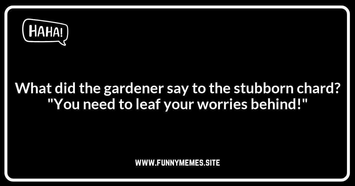Funny Chard Jokes for Gardeners