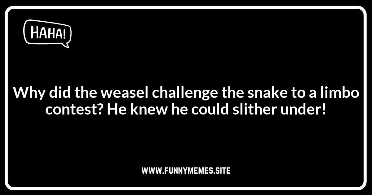 Animal Jokes: Weasel Edition