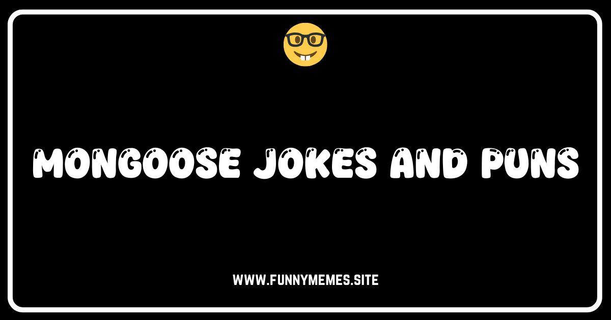 Mongoose Mayhem: 50+ Hilariously Vicious Mongoose Jokes & Puns!