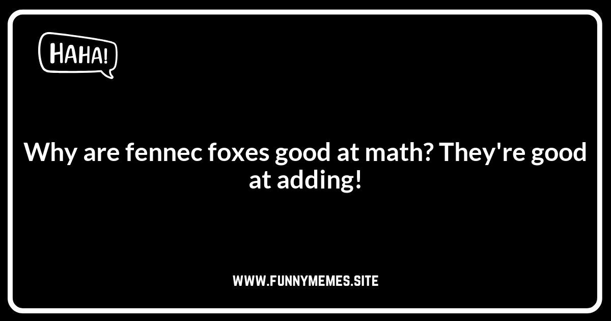Short Fennec Fox Jokes: Quick Laughs