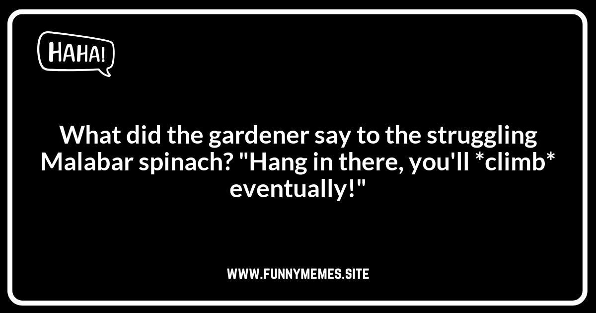 Malabar Spinach Jokes for Gardeners