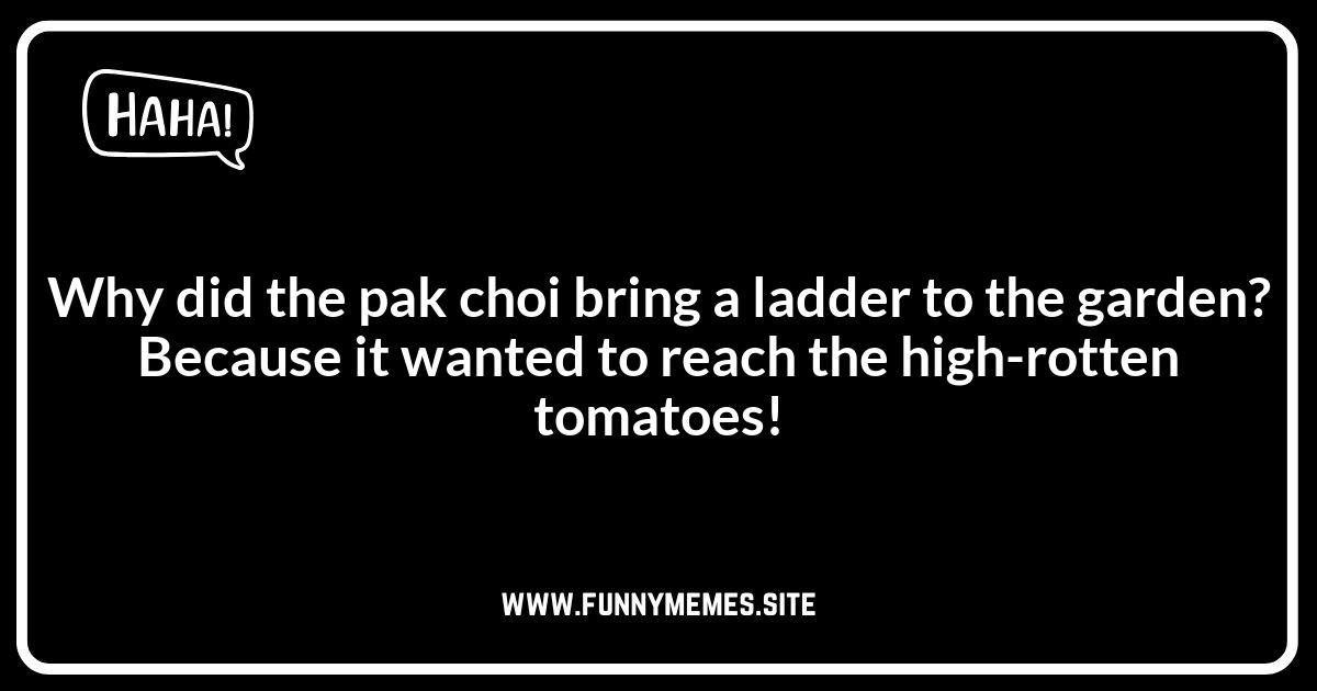 Pak Choi Humor: Rooted in Ridiculousness