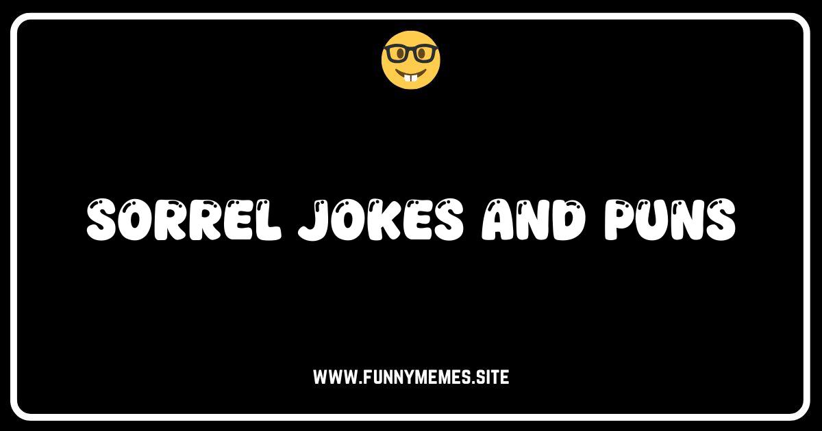 Sorrel-iously Funny: The Best Sorrel Jokes and Puns!