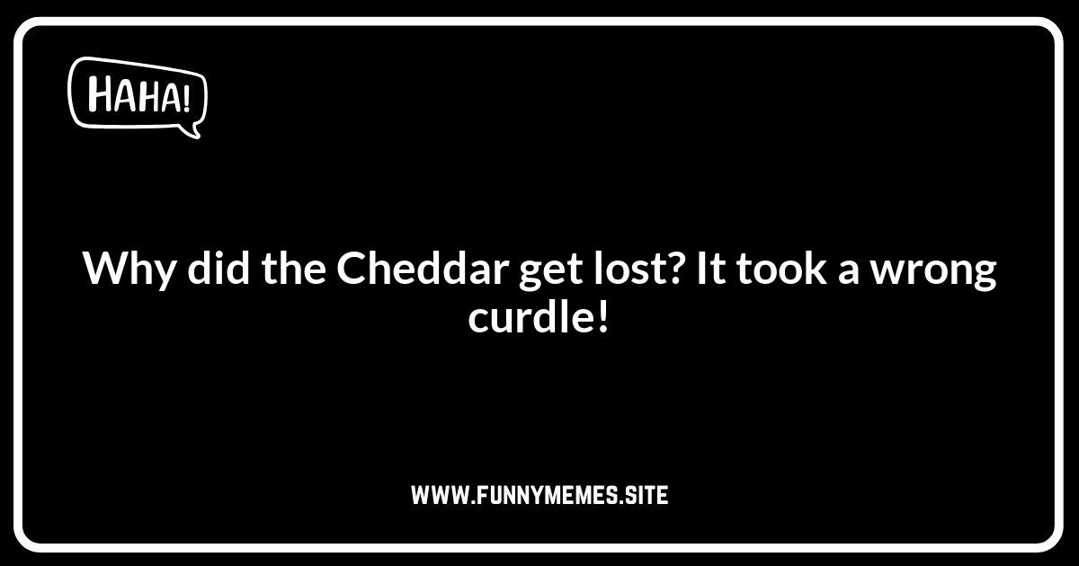 Cheese Jokes About Different Types of Cheese