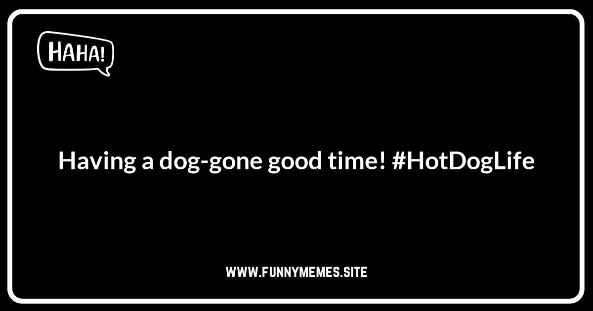 Hot Dog Puns for Instagram Captions: Bun-believable!