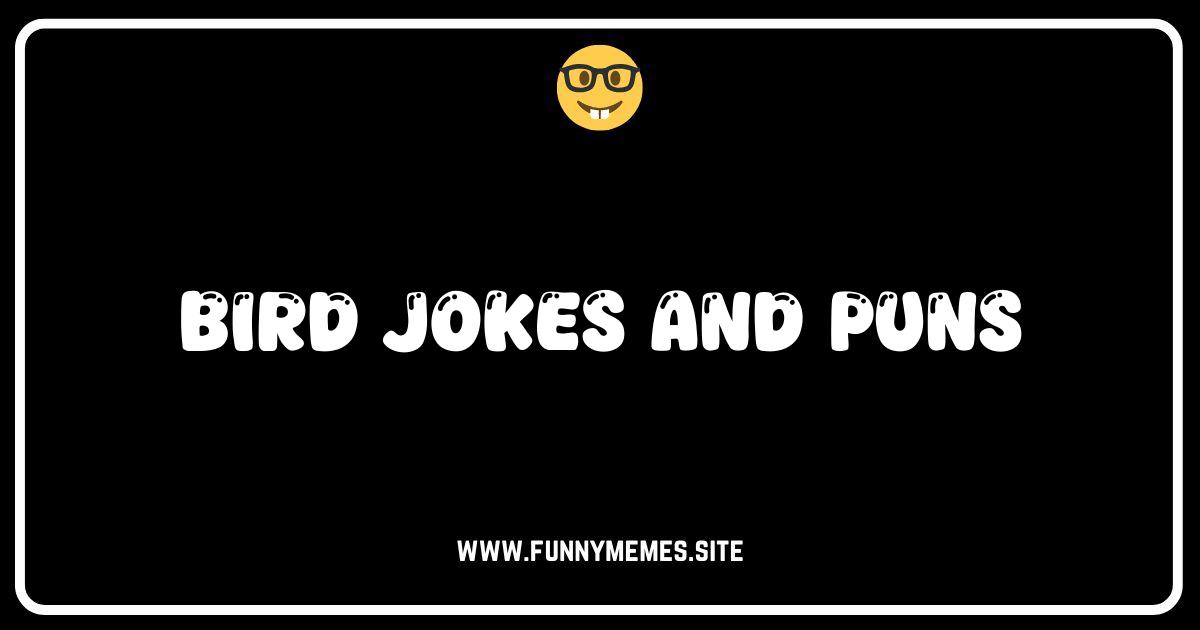 Feather-light Fun: The Best Bird Jokes and Puns Online!