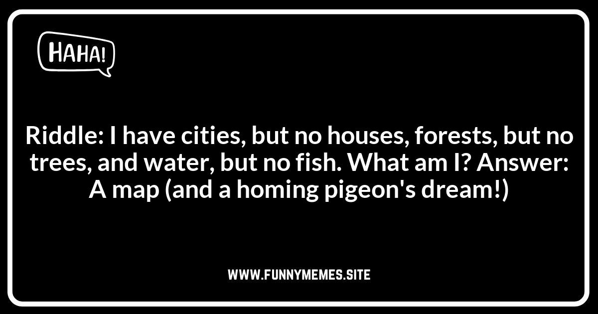 Bird Jokes: Riddles That Will Make You Chirp