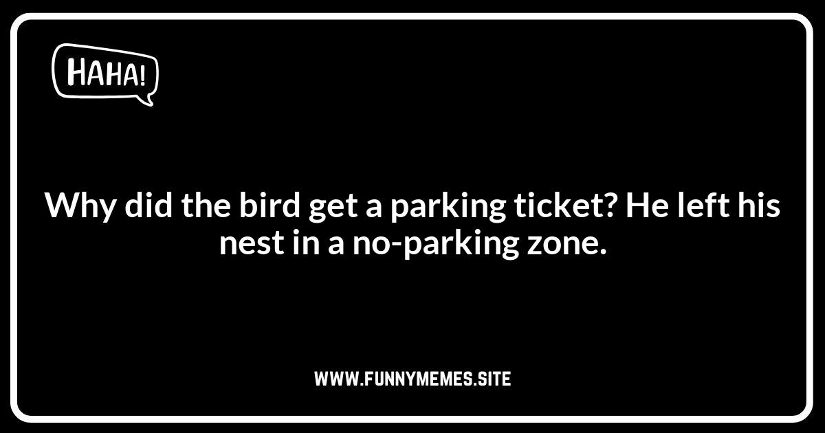 Bird Jokes: Funny Situations Birds Get Into