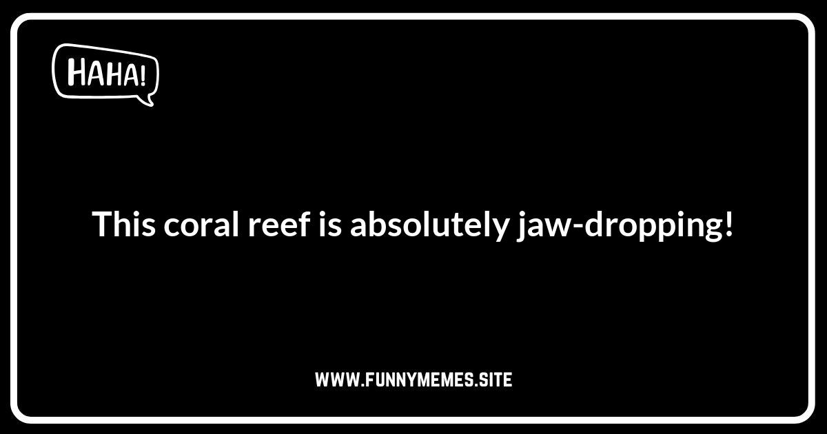 Coral Puns: Dive into the Laughter
