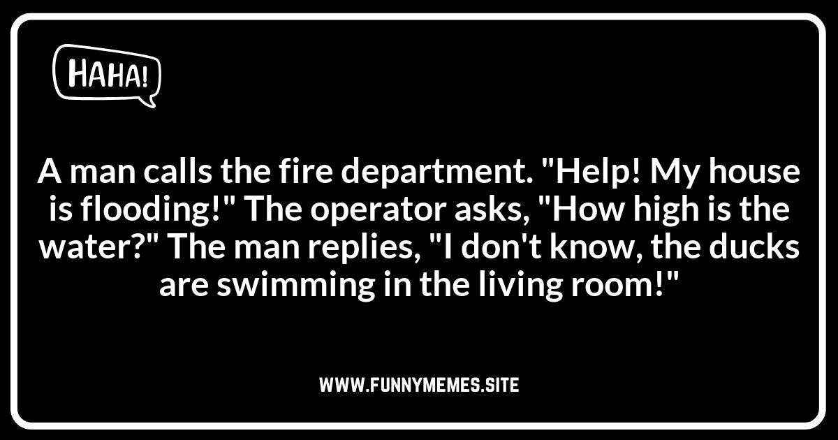 Funny Flood Jokes: Guaranteed to Make You Giggle
