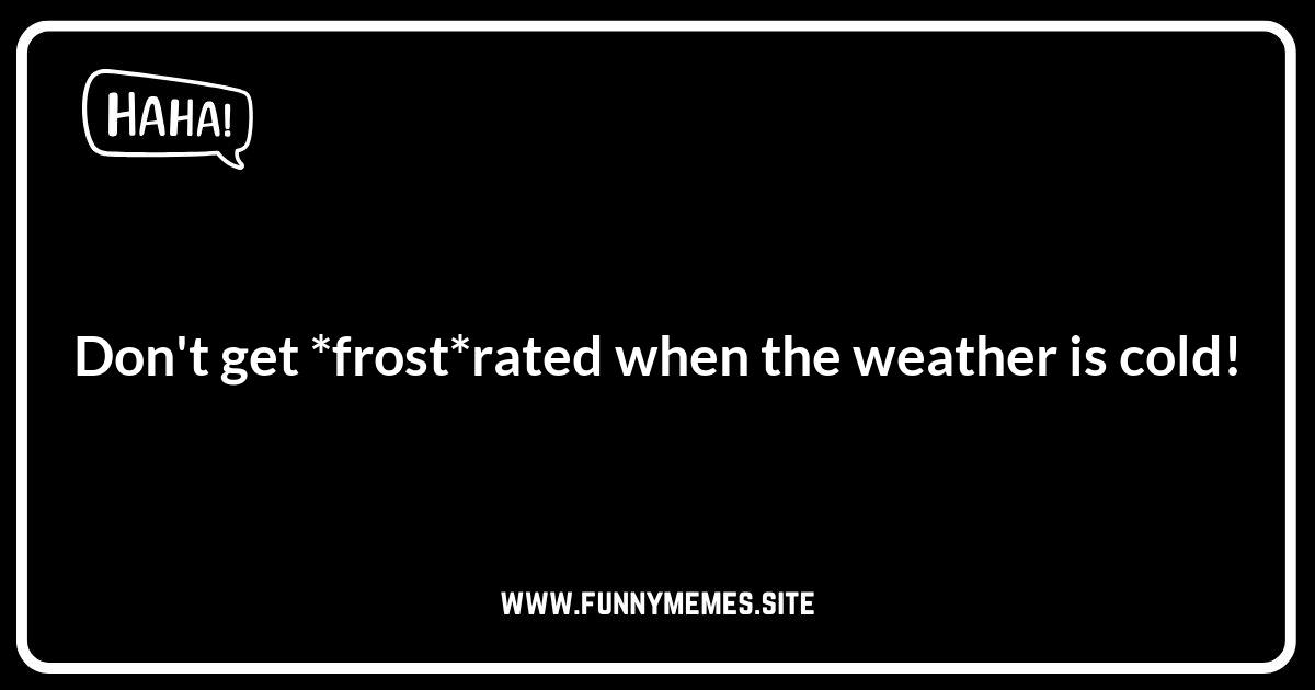 Frost Puns: Words That Will Chill You with Laughter
