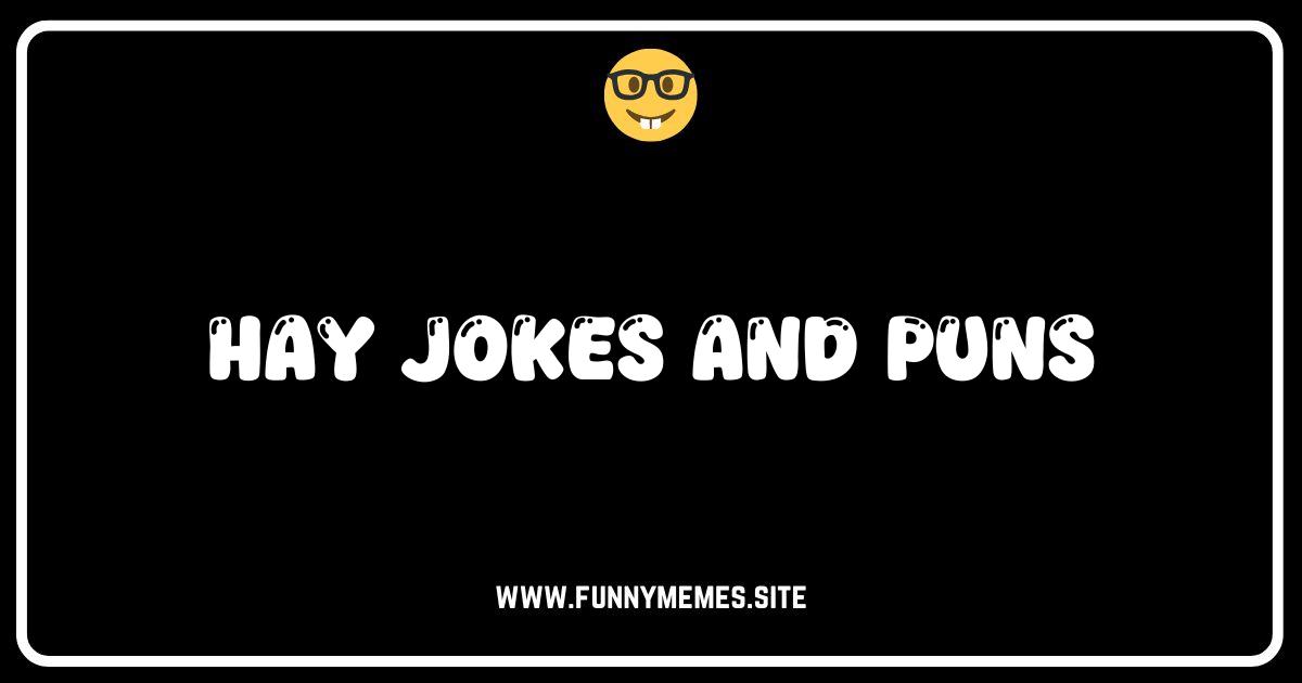 Hay There! The Ultimate Collection of Hilarious Hay Jokes and Puns