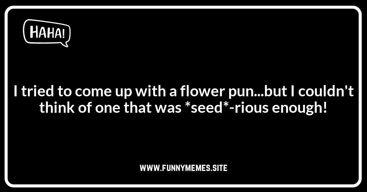 Petal Puns for Every Flower Lover