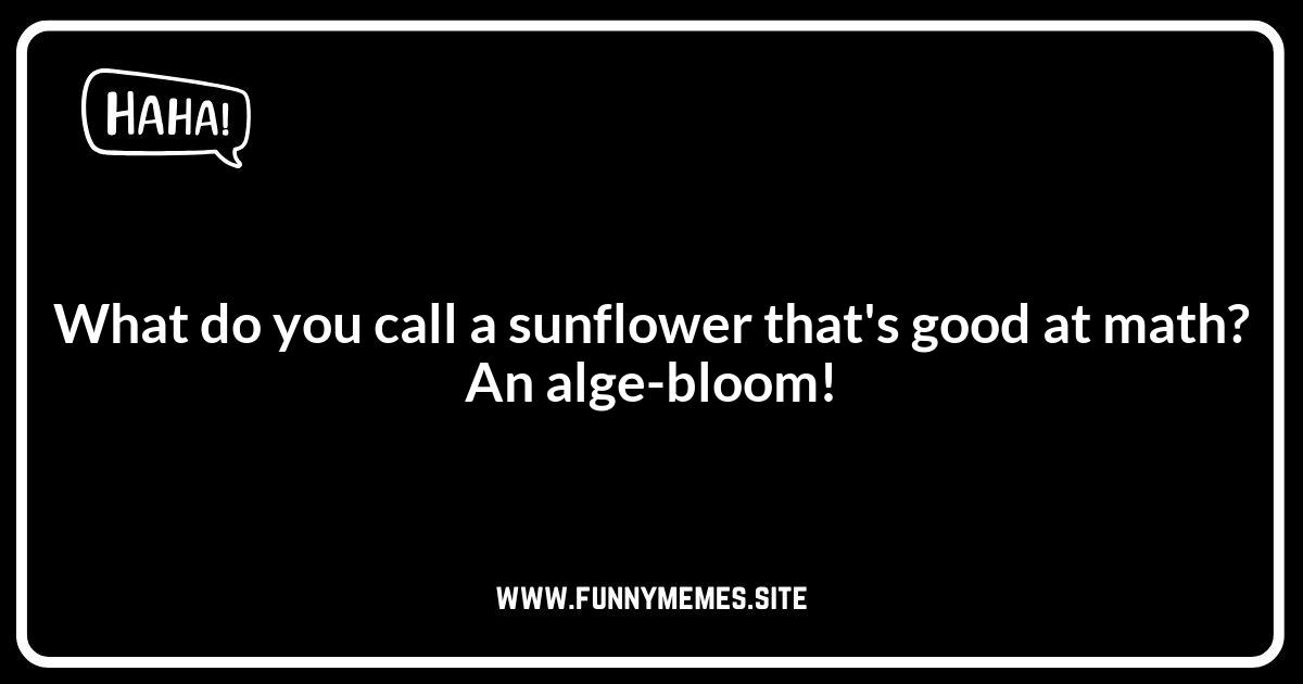 Petal Puns: Sunflower-Powered Humor to Make You Shine