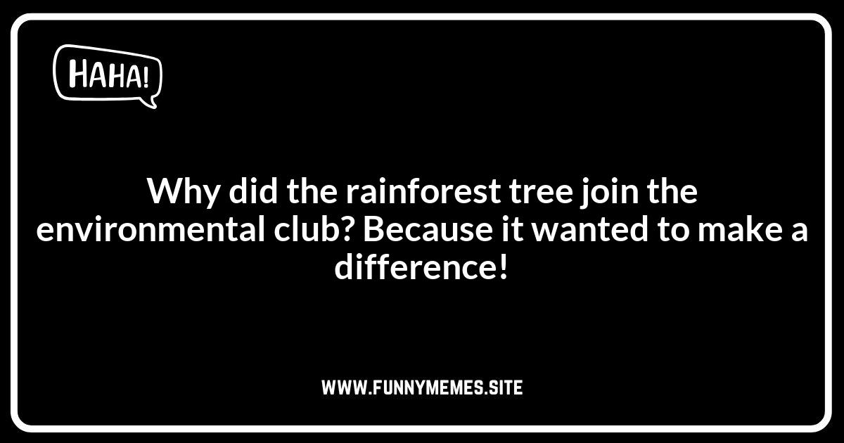 Rainforest Jokes: Jokes About Rainforest Conservation