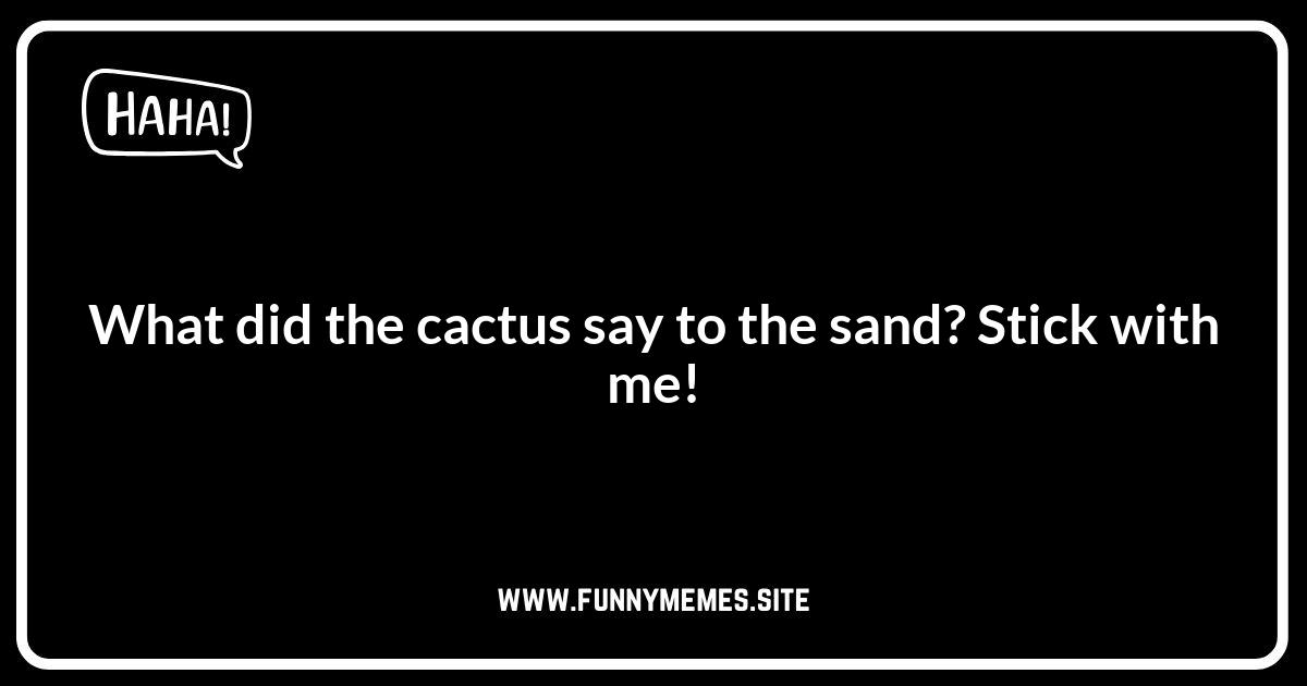 Clever Desert Sand Jokes