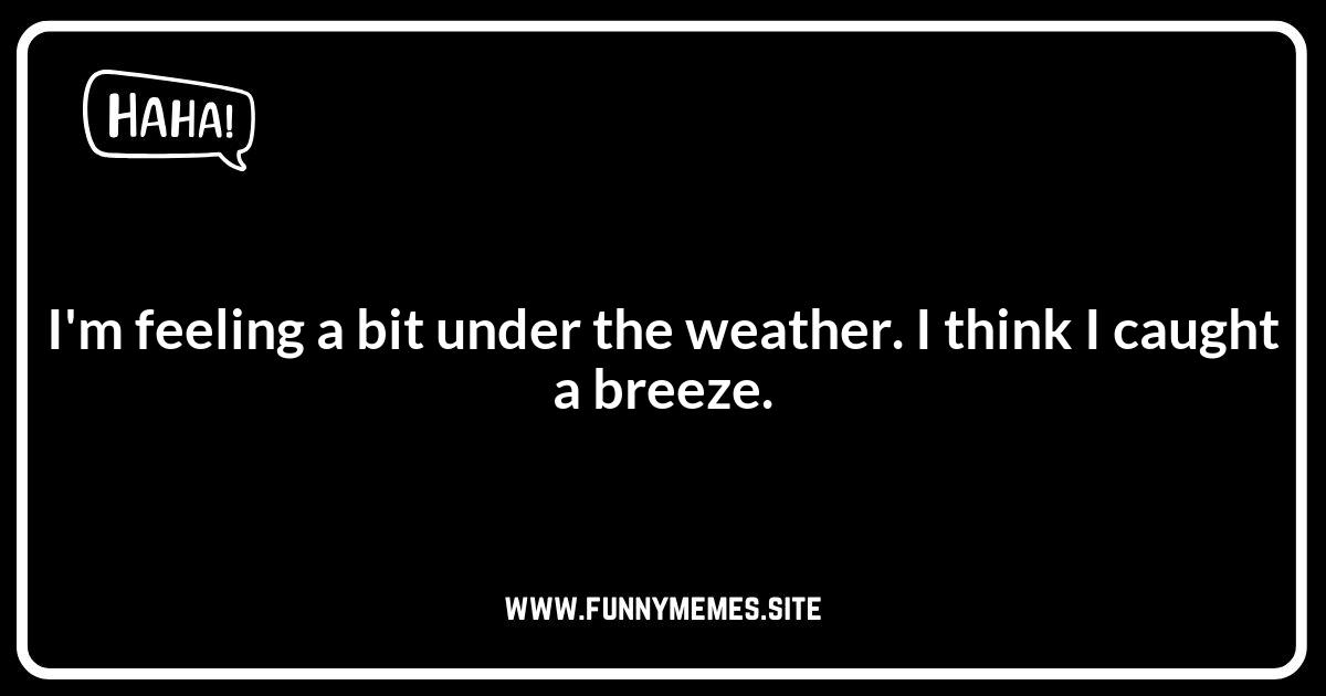Wind Puns: A Breezy Collection of Wordplay