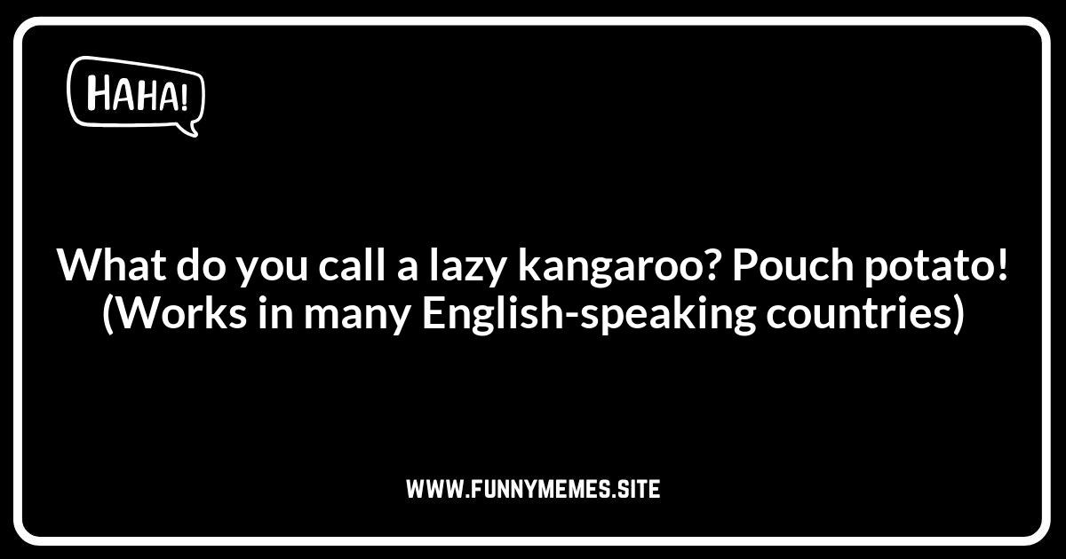 World Jokes and Puns: Funny Around the Globe