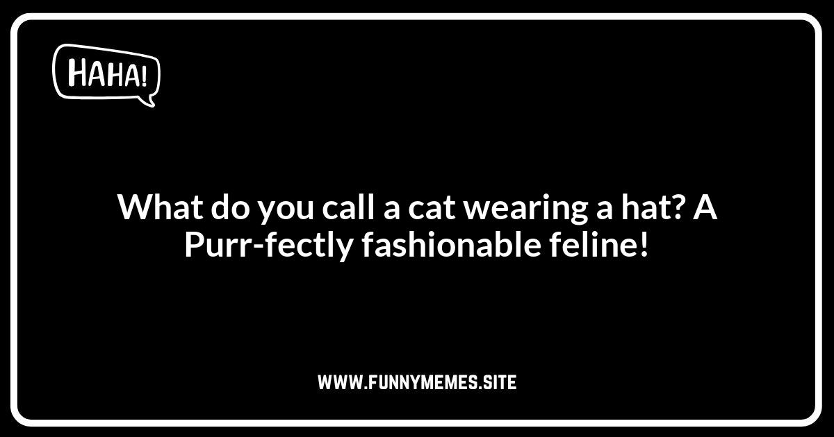Hat Jokes About Animals Wearing Hats