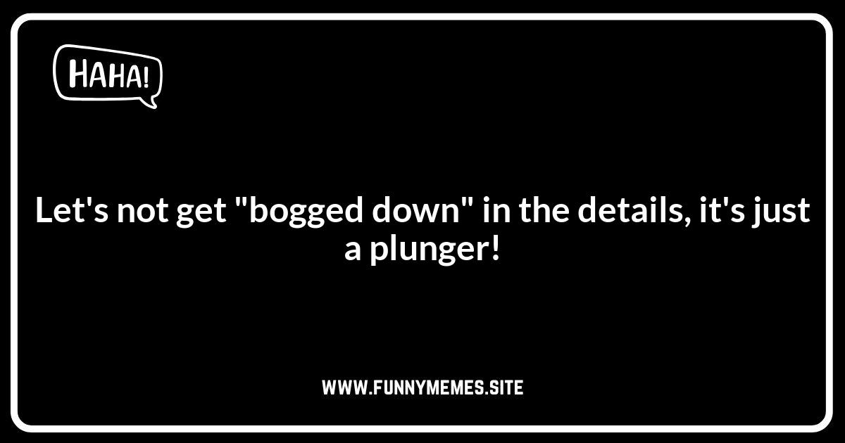 Bathroom Plunger Puns: A Flush of Comedy