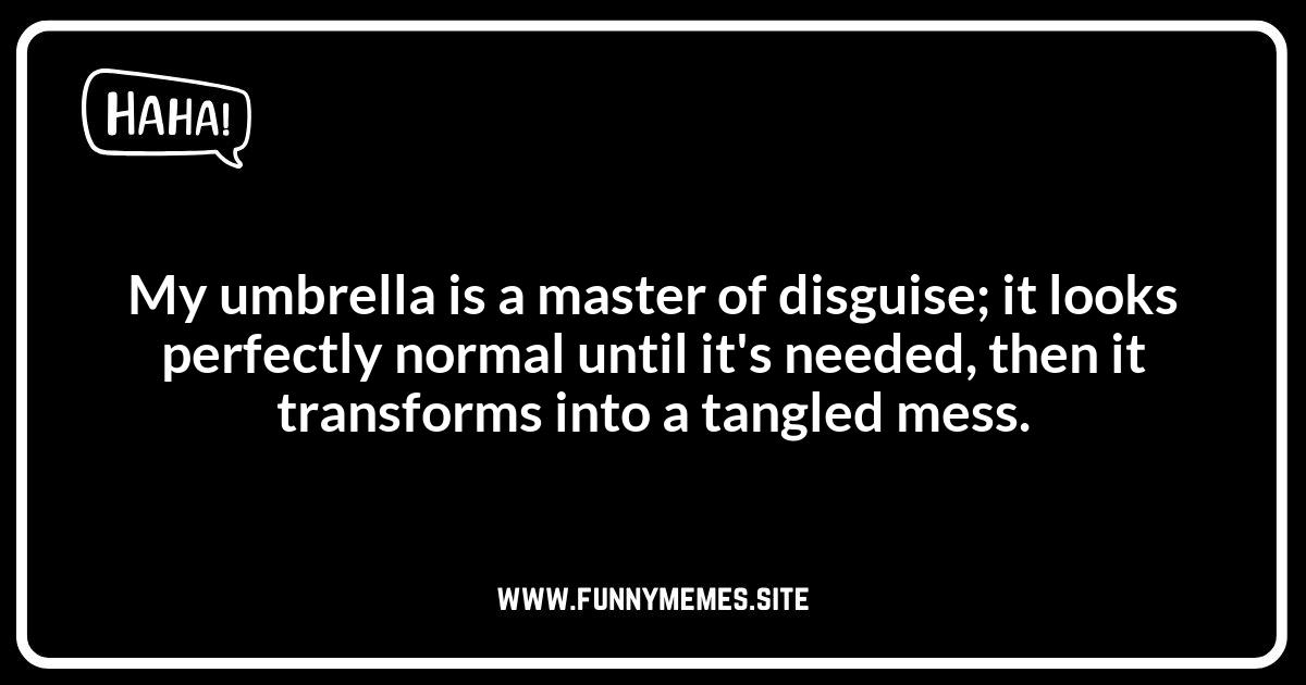 Umbrella Jokes: Funny Observations About Umbrellas