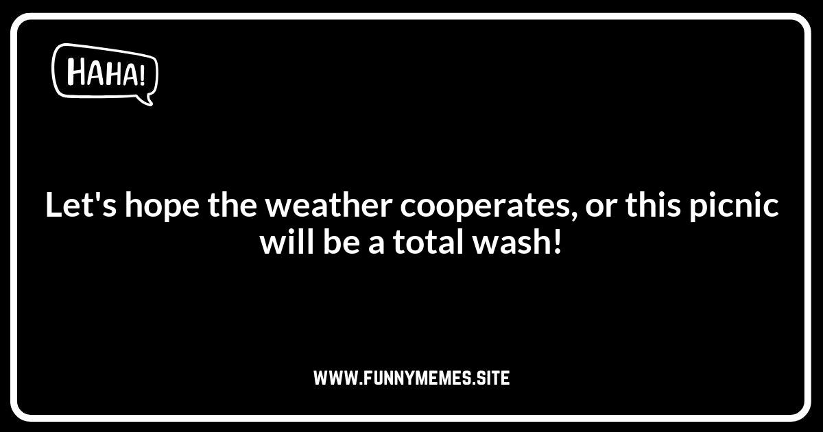 Weather-Related Picnic Puns: Come Rain or Shine!