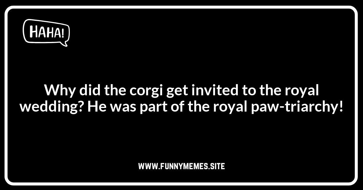 Corgi-ous Royal Wedding Puns for Dog Lovers