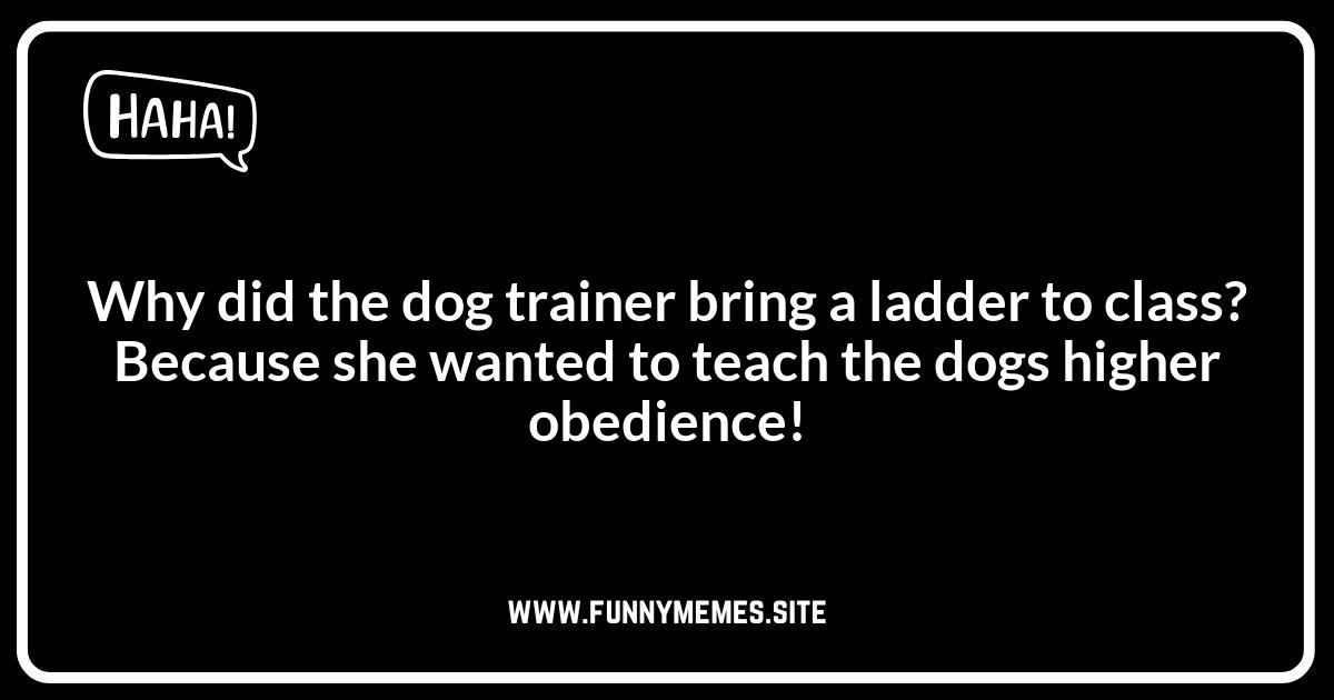 Dog Trainer Jokes: Classic Canine Comedy