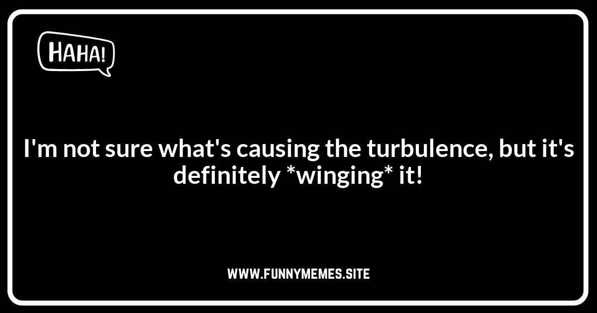 Flight Attendant Puns About Turbulence