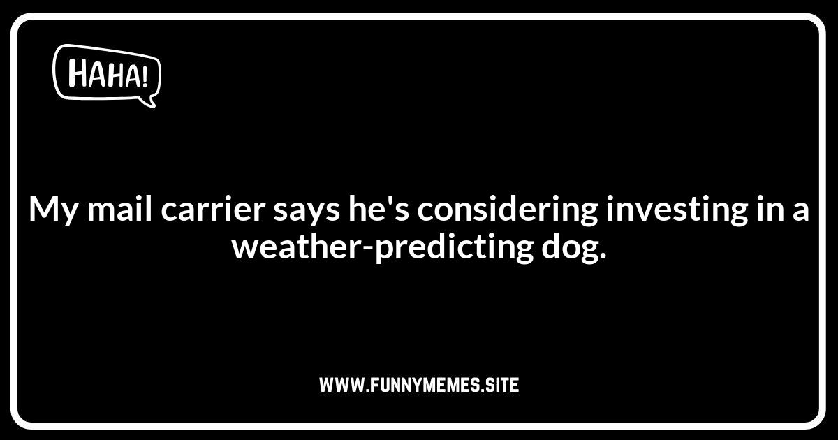 Weather or Not: Mail Carrier Jokes About Dealing with the Elements