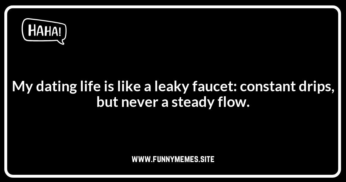 Funny Plumber Jokes About Leaks