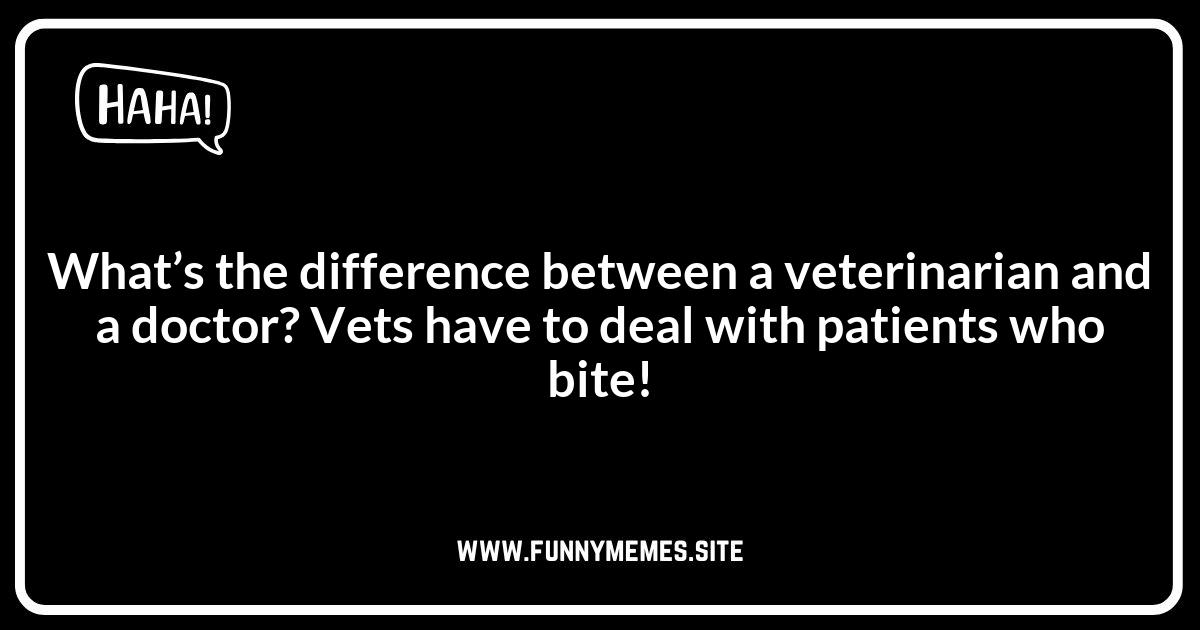 Veterinarian Jokes: Relatable Humor for Vet Professionals
