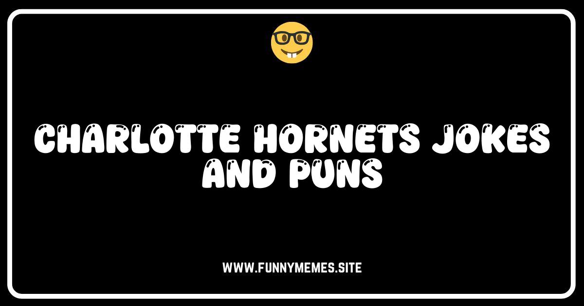 Buzz City Laughs: The Ultimate Charlotte Hornets Jokes & Puns