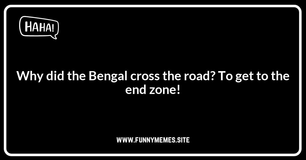 Cincinnati Bengals Jokes: Classic One-Liners