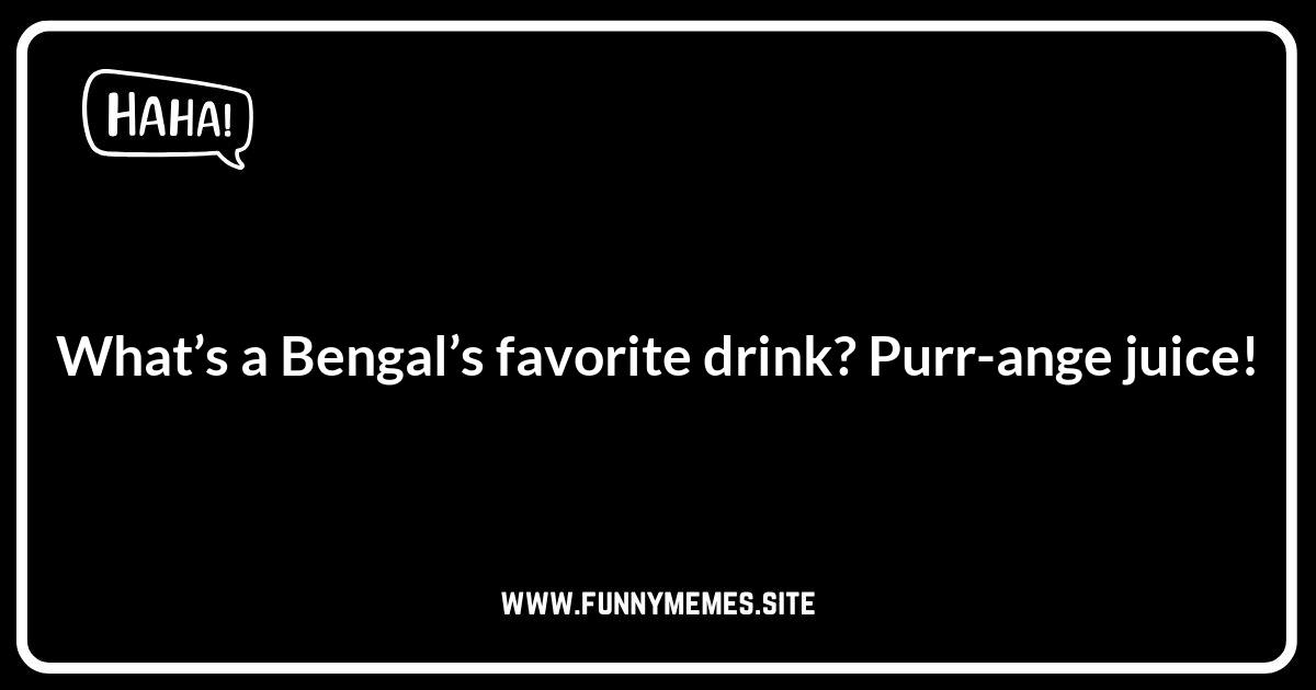 Cincinnati Bengals Jokes for Kids: Family-Friendly Fun