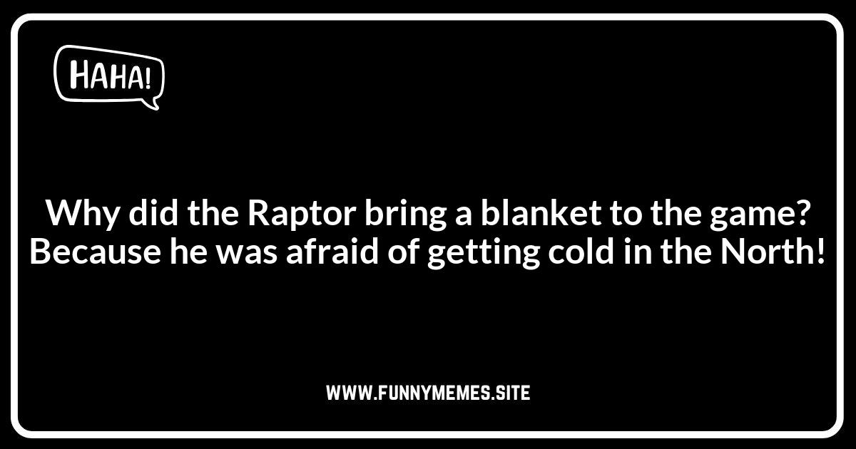 Toronto Raptors Jokes: Game Day Humor